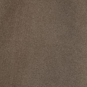 پانچو پانیذ