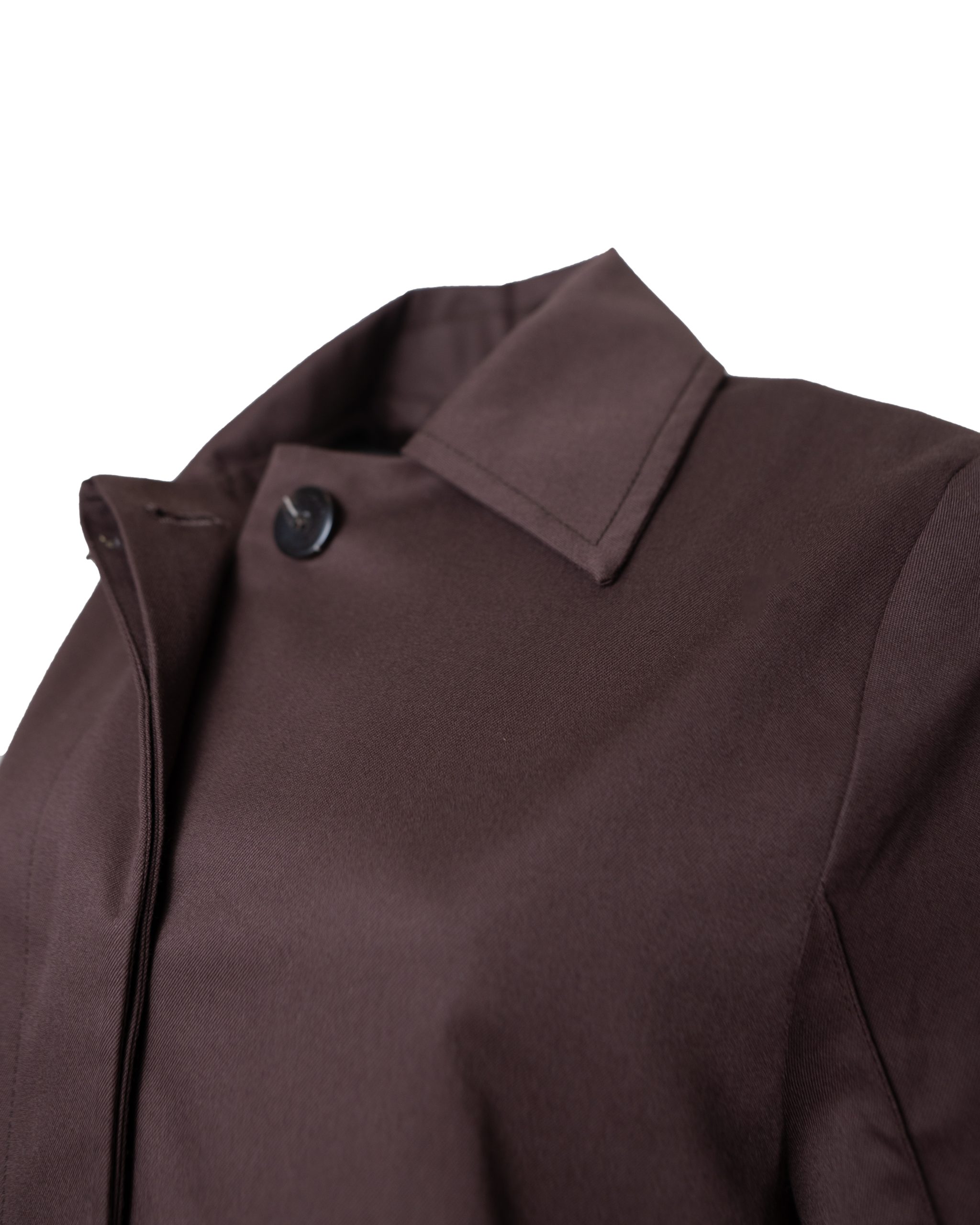 بارونی دلسان